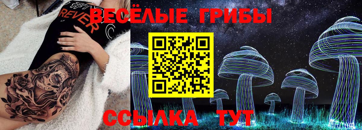 Псилоцибиновые грибы мухоморы  купить   Сергиев Посад  Вход с VPN  Галлюциногенные грибы прущие грибы 
