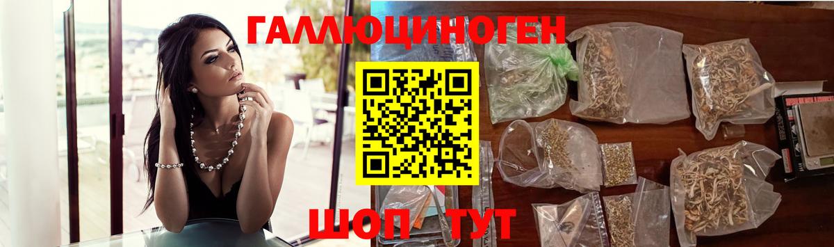 Галлюциногенные грибы Psilocybe Сергиев Посад